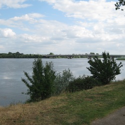 Foulées du bord de Loire - 2009